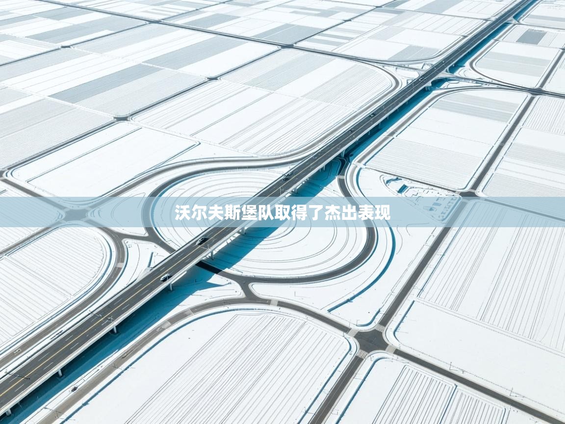 沃尔夫斯堡队取得了杰出表现