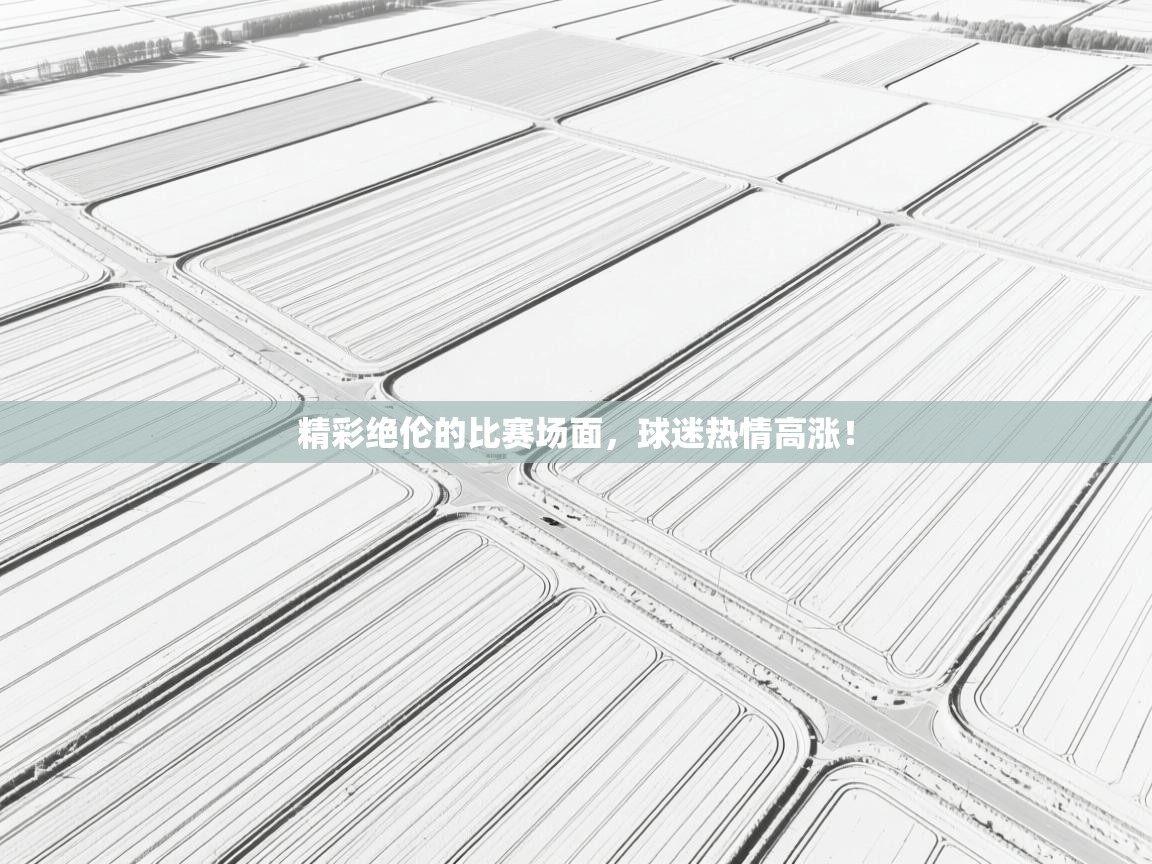 精彩绝伦的比赛场面，球迷热情高涨！