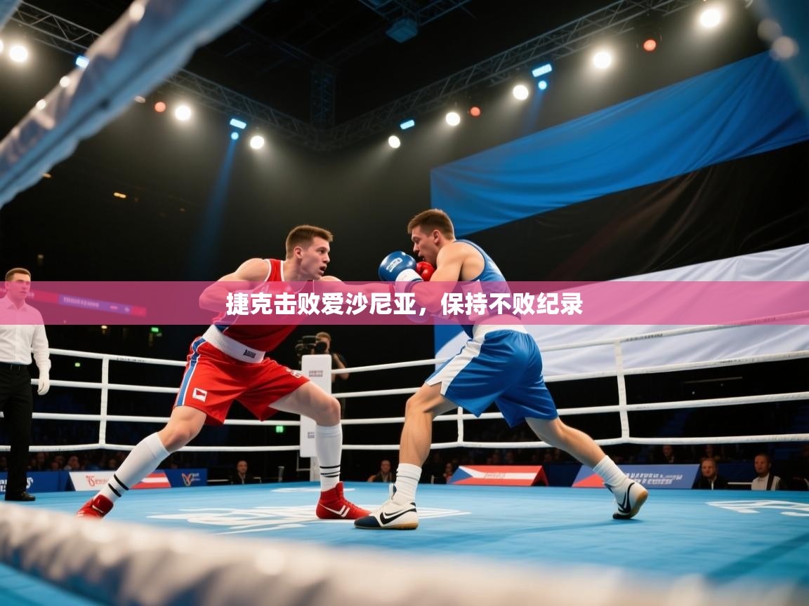 捷克击败爱沙尼亚，保持不败纪录  第2张